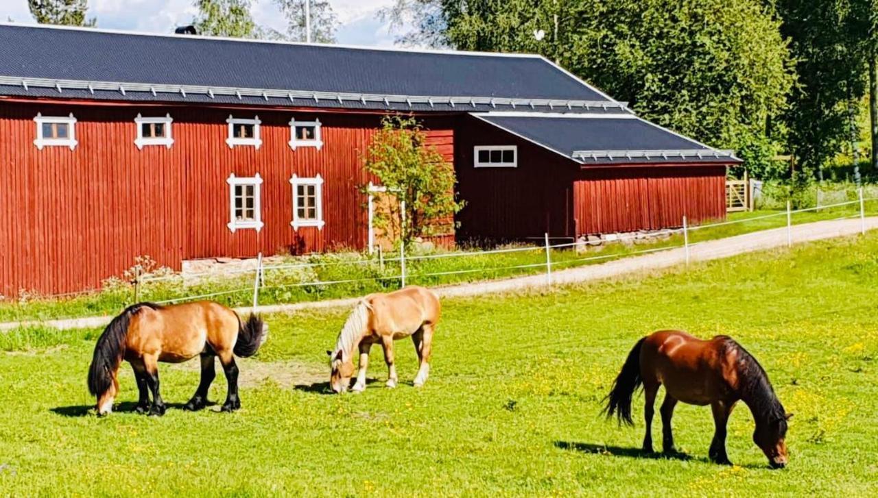 Super Cosy Cottage In Heart Of Dalarna Vastra Fors Exterior foto